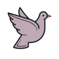 Dove icon