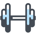 Dumbbell icon