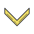 Chevron Down icon