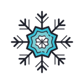 Winter icon