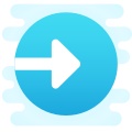 Connexion icon