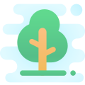 Oak Tree icon