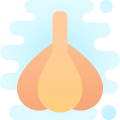 Garlic icon