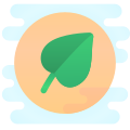 Cibo Biologico icon