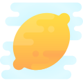 Citron icon