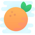 Orange icon