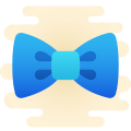 Nœud papillon icon