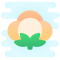 Coton icon