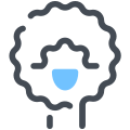 Ovelha 2 icon