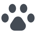 Dog Paw icon