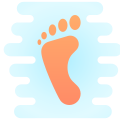 左の足跡 icon