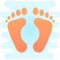 Footprint icon