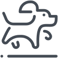 狗跳 icon