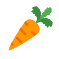 胡萝卜 icon