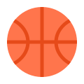 Pallacanestro icon