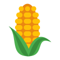 Corn icon