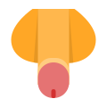 Penis icon