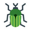 Insect icon