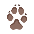 Dog Paw icon