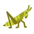 Grasshopper icon