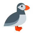 Puffin Bird icon