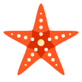 Estrella de mar icon