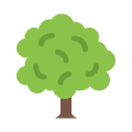 Albero Caduco icon