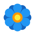 Blume icon