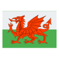 Wales icon