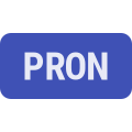Pronoun icon