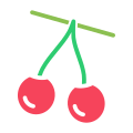 Berries icon