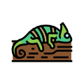 Chameleon icon