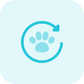 Pet animal insurance coverage renewal isolated on white background icon