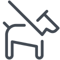 Leash icon