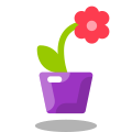 Orchid icon