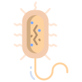 Prokaryote icon