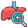 Liver icon