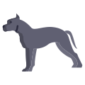 American Staffordshire Terrier icon