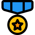 Star circle medal for the air force officers icon