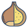 Chestnut icon