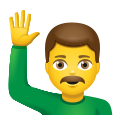 Man Raising Hand icon
