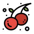 Cherry icon