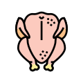 Broiler Chicken icon