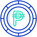 Peso icon