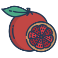 Grapefruit icon