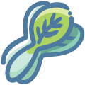 Chinese cabbage icon