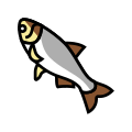 Carp icon