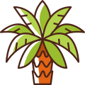 Date Palm icon