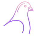 Pigeon icon