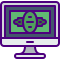 Online Payment icon